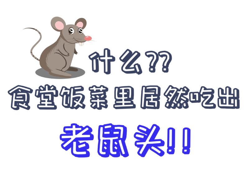 公共食堂又爆雷！饭菜吃出老鼠头？？看看球盟会(中国)新材怎么做......